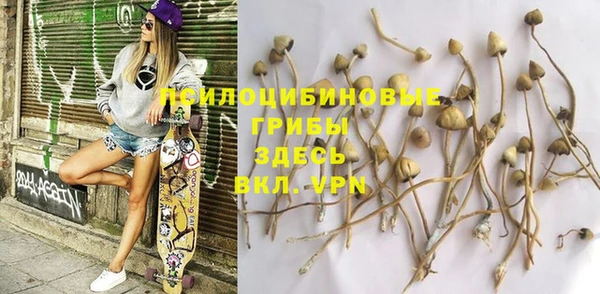 тгк Коряжма