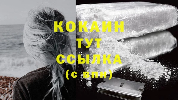 тгк Коряжма