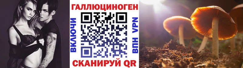 Псилоцибиновые грибы мицелий Крымск