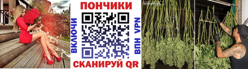Бошки Шишки гибрид  hydra как войти  Крымск 